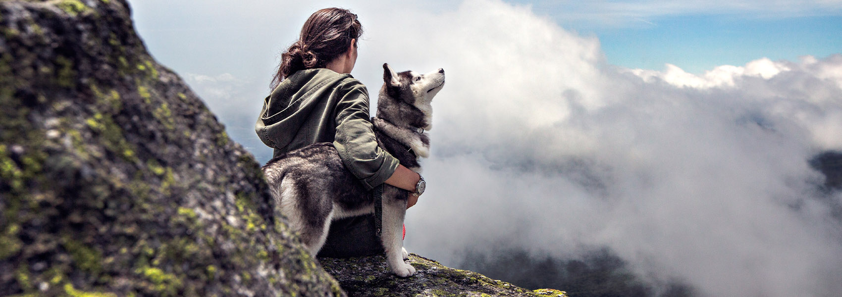 Trekking mit dem Hund