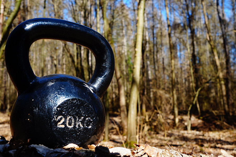 Krafttraining im Wald