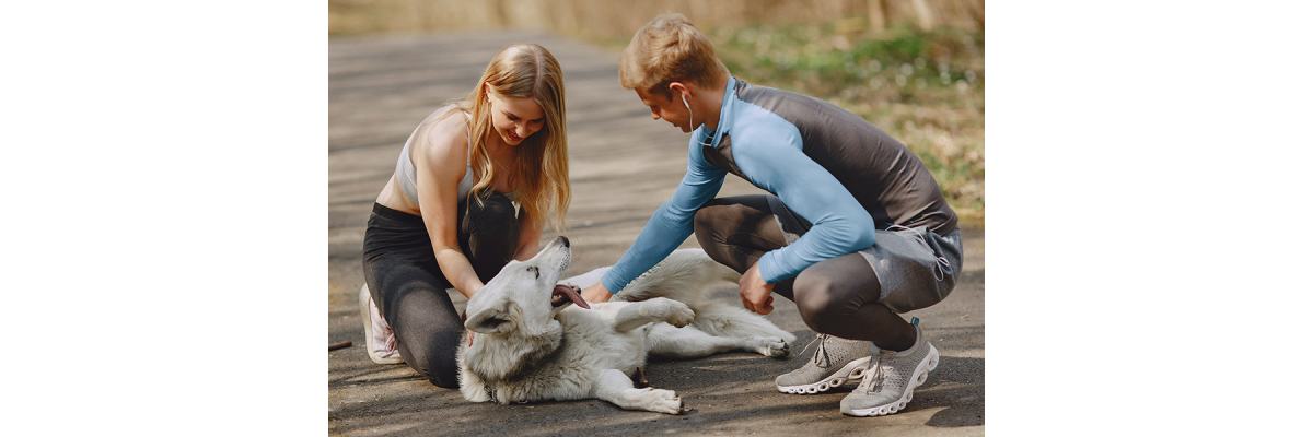 Fitness mit dem Hund - Fitness mit dem Hund