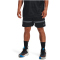 UNDER ARMOUR Baseline Woven Shorts Herren 001 - black/pitch gray S