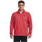 UNDER ARMOUR 1/4-Zip Sweatshirt Herren 638 - chakra/black M