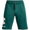 UNDER ARMOUR Rival Fleece Big Logo Shorts Herren 722 - coastal teal/onyx white M