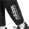 adidas All SZN Fleece Graphic Jogginghose Herren