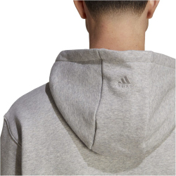 adidas All SZN Fleece Graphic Hoodie Herren