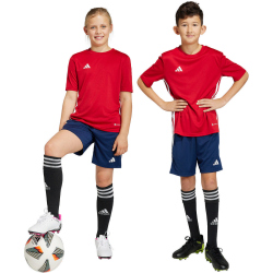 adidas Tiro 23 League Trainingsshorts Kinder