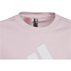 adidas Essentials Big Logo Cotton Sweatshirt Kinder