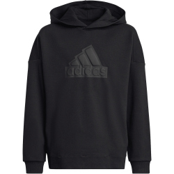 adidas Future Icons Logo Hoodie Kinder