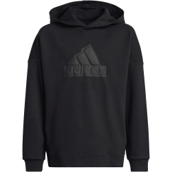 adidas Future Icons Logo Hoodie Kinder