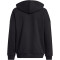 adidas Future Icons Logo Hoodie Kinder