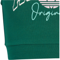 adidas Collegiate Graphic Pack Cropped Sportshirt Kinder