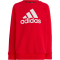 adidas Essentials Logo Fleece Jogginganzug Kinder