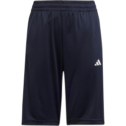 adidas Train Essentials AEROREADY 3-Streifen Regular-Fit...