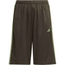 adidas Train Essentials AEROREADY Regular-Fit Shorts Kinder