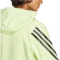 adidas Future Icons 3-Streifen Hoodie Herren