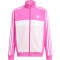 adidas Essentials Tiberio Trainingsanzug Kinder