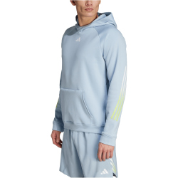 adidas Train Icons 3-Streifen Trainings-Hoodie Herren