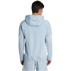 adidas Train Icons 3-Streifen Trainings-Hoodie Herren