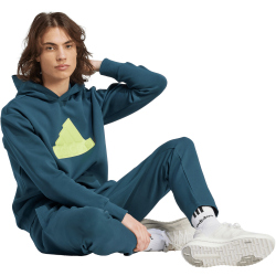 adidas Future Icons Badge of Sport Hoodie Herren