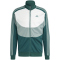 adidas Colorblock Trainingsanzug Herren
