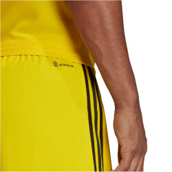 adidas Tiro 23 League Fußballshorts Herren