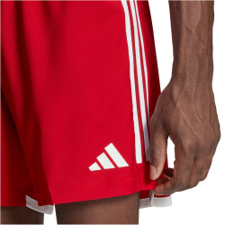 adidas Tiro 23 Competition Match Trainingsshorts Herren