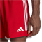adidas Tiro 23 Competition Match Trainingsshorts Herren