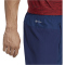 adidas AEROREADY Designed for Movement Trainingshose Herren