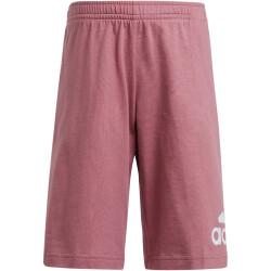 adidas Essentials Logo T-Shirt und Shorts Set Kinder