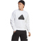 adidas Future Icons Badge of Sport Sweatshirt Herren