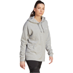 adidas TERREX Logo Hoodie Damen