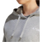 adidas TERREX Logo Hoodie Damen