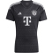 adidas FC Bayern München Tiro 23 Torwarttrikot Herren