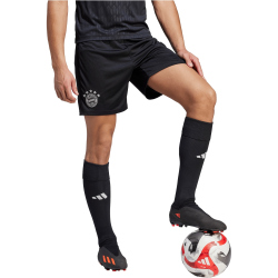 adidas FC Bayern M&uuml;nchen Tiro 23 Torwartshorts Herren