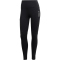 adidas TERREX Multi Leggings Damen
