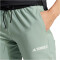 adidas TERREX Liteflex Wanderhose Damen