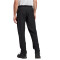 adidas TERREX Liteflex Wanderhose Herren