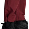 adidas TERREX Liteflex Wanderhose Herren