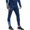 adidas Ajax Amsterdam Tiro 23 Trainingshose Herren
