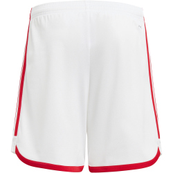 adidas Ajax Amsterdam Heimshorts 2023/24 Kinder