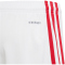 adidas Ajax Amsterdam Heimshorts 2023/24 Kinder