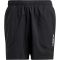 adidas TERREX Multi Outdoorshorts Herren