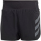 adidas TERREX Agravic Trailrunning-Laufshorts Damen