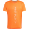 adidas TERREX Agravic Trailrunning T-Shirt Herren