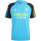 adidas FC Arsenal London Tiro 23 Trainingstrikot Herren