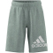 adidas Essentials Big Logo Cotton Sweatshorts Kinder