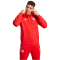 adidas FC Bayern München DNA Hoodie Herren