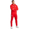 adidas FC Bayern München DNA Hoodie Herren