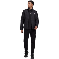 adidas BSC 3-Streifen Insulated Winterjacke Herren