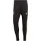 adidas Juventus Turin Condivo 22 Trainingshose Herren