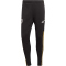 adidas Juventus Turin Condivo 22 Trainingshose Herren